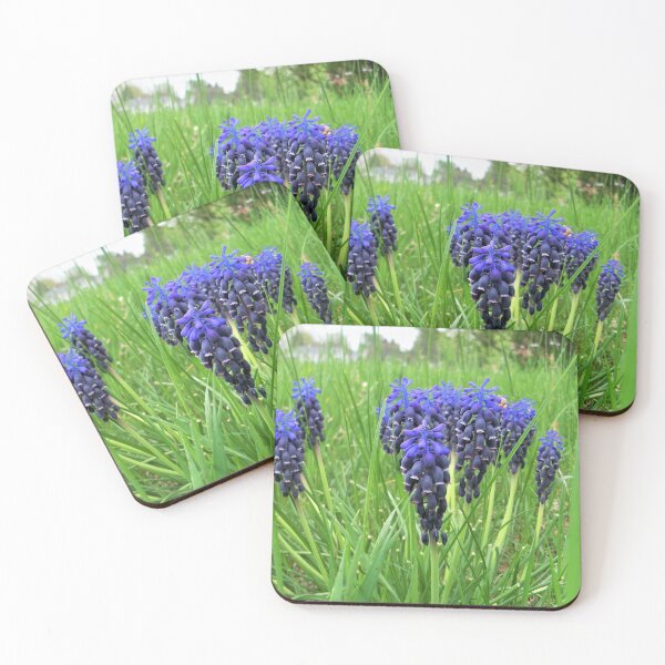 Item preview, Grape Hyacinth designed and sold by CJGrimes.