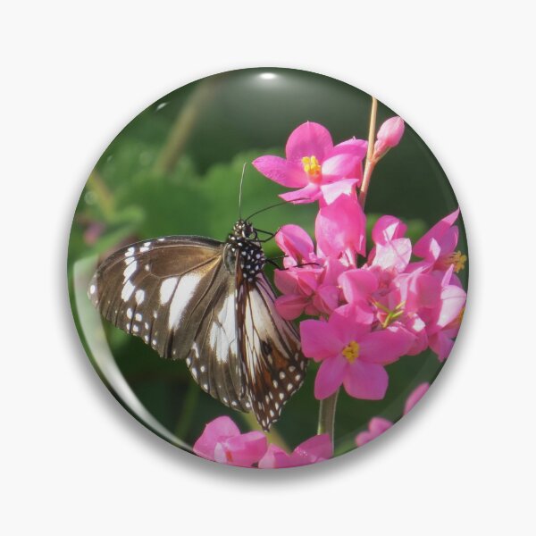 Artikelvorschau, Marsh Tiger Butterfly entworfen und verkauft von Genevieve Hanlon Art and Photography.