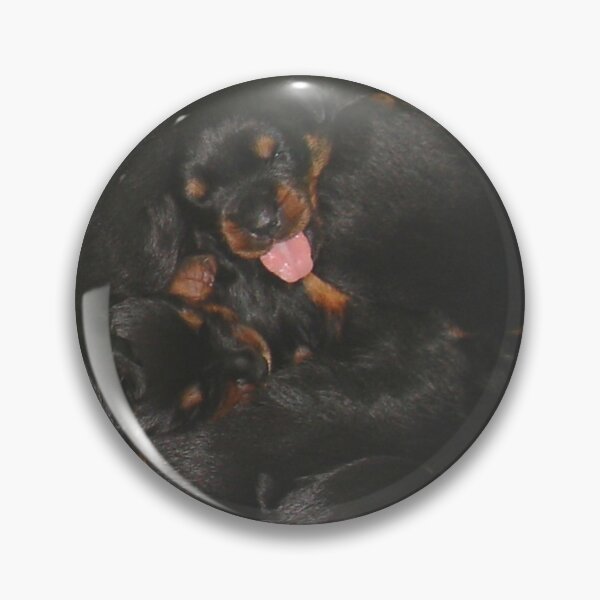 Item preview, Litter Of Rottweilers and One Puppy Being Different designed and sold by taiche.