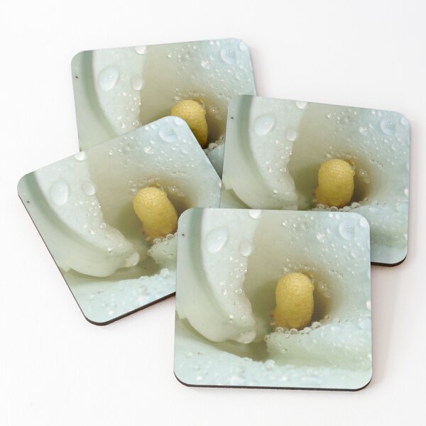 Item preview, Beautiful Calla Lily Flower Macro with Morning Dew designed and sold by taiche.