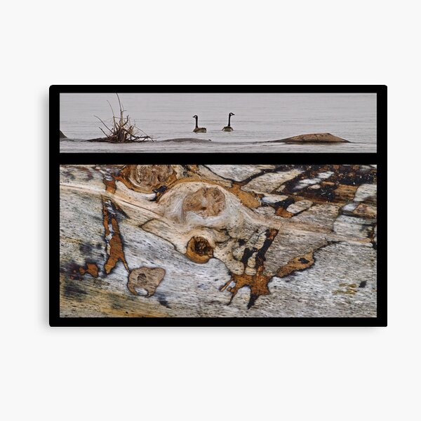 sdkc 3 Canvas Print