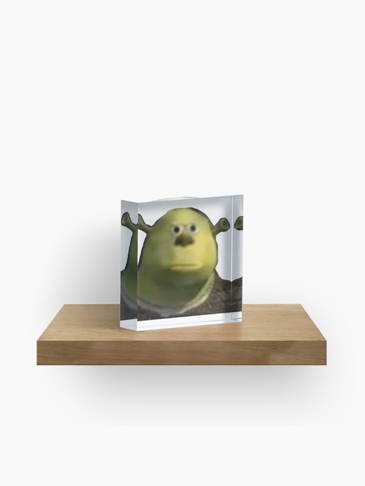 Derp Shrek meme | Poster