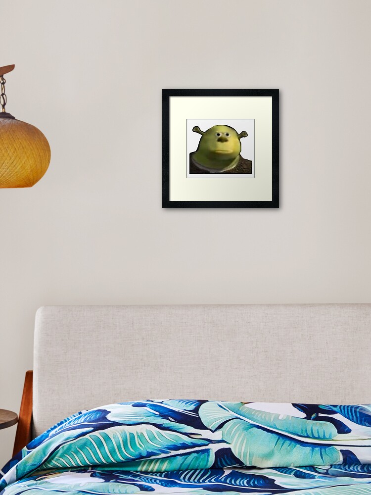 Derp Shrek meme | Poster