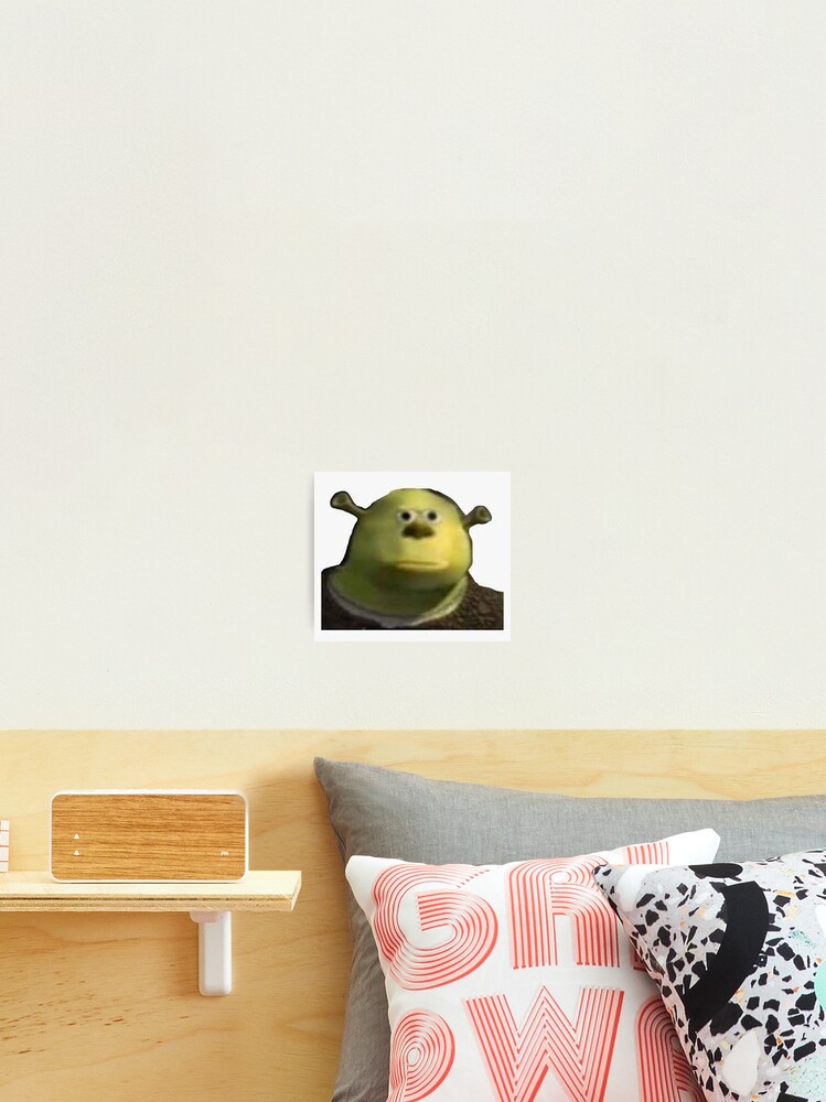 Derp Shrek meme | Poster