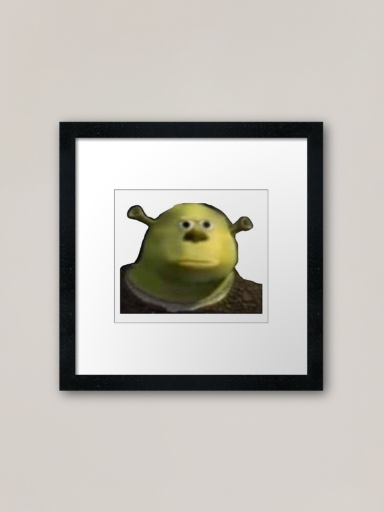 Derp Shrek meme | Poster