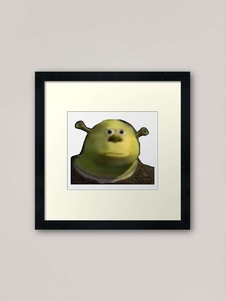 Shrek meme Art Board Print for Sale by Pulte