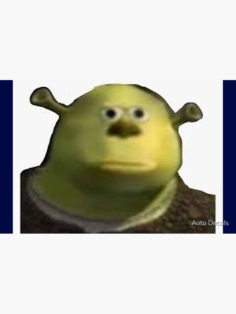 Shrek Meme Drip | Laptop Skin