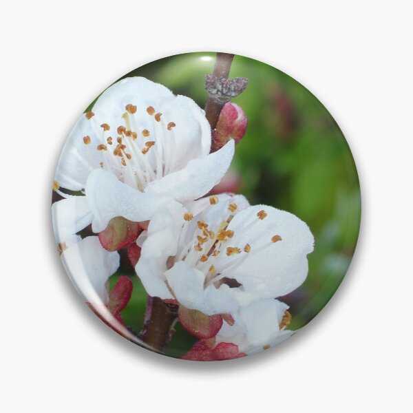Item preview, Apricot Blossom At Dawn designed and sold by taiche.