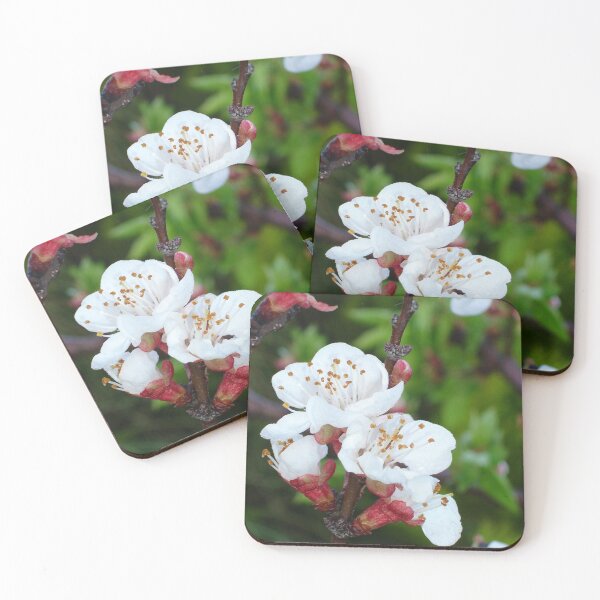 Item preview, Apricot Blossom At Dawn designed and sold by taiche.