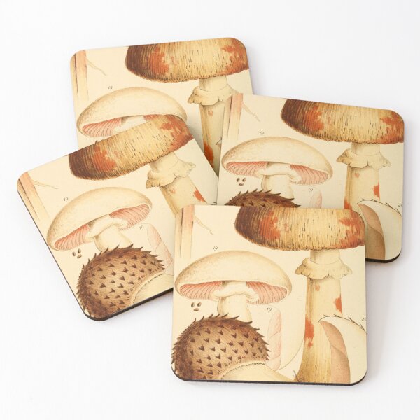 Item preview, British Edible Fungi designed and sold by EsotericBotanic.