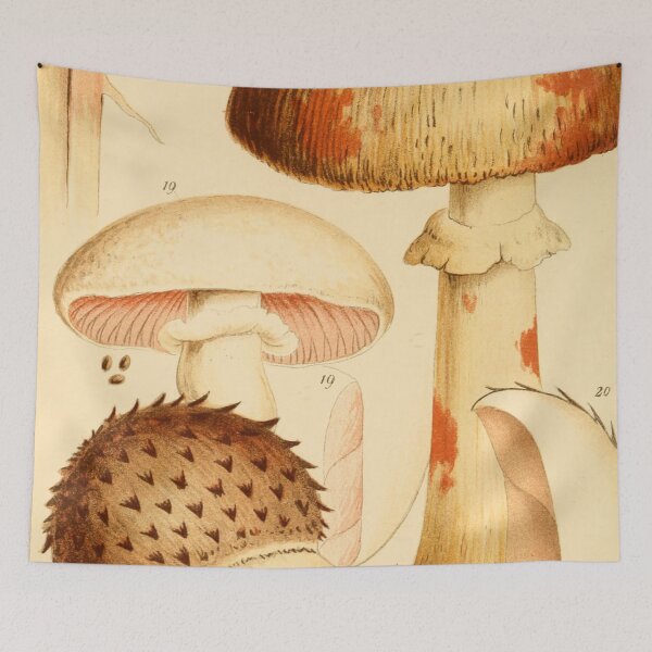 Item preview, Hongos comestibles británicos designed and sold by EsotericBotanic.