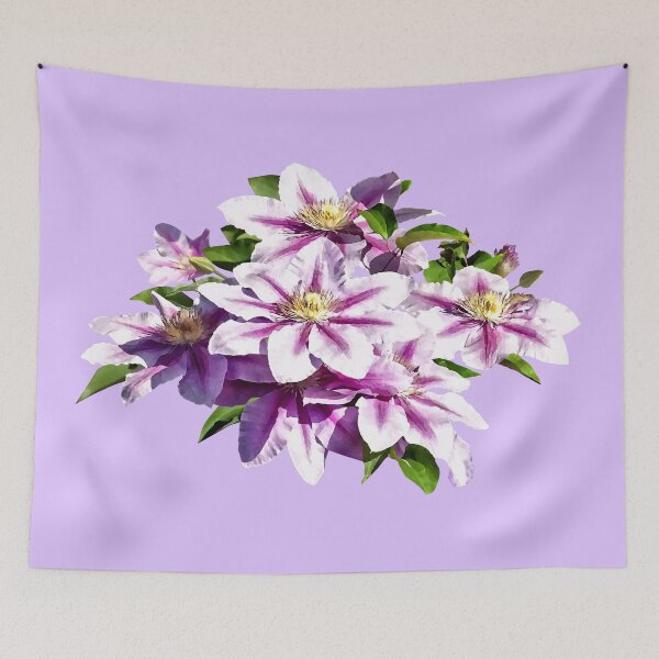 Item preview, Pale Pink Clematis designed and sold by Susan Savad.