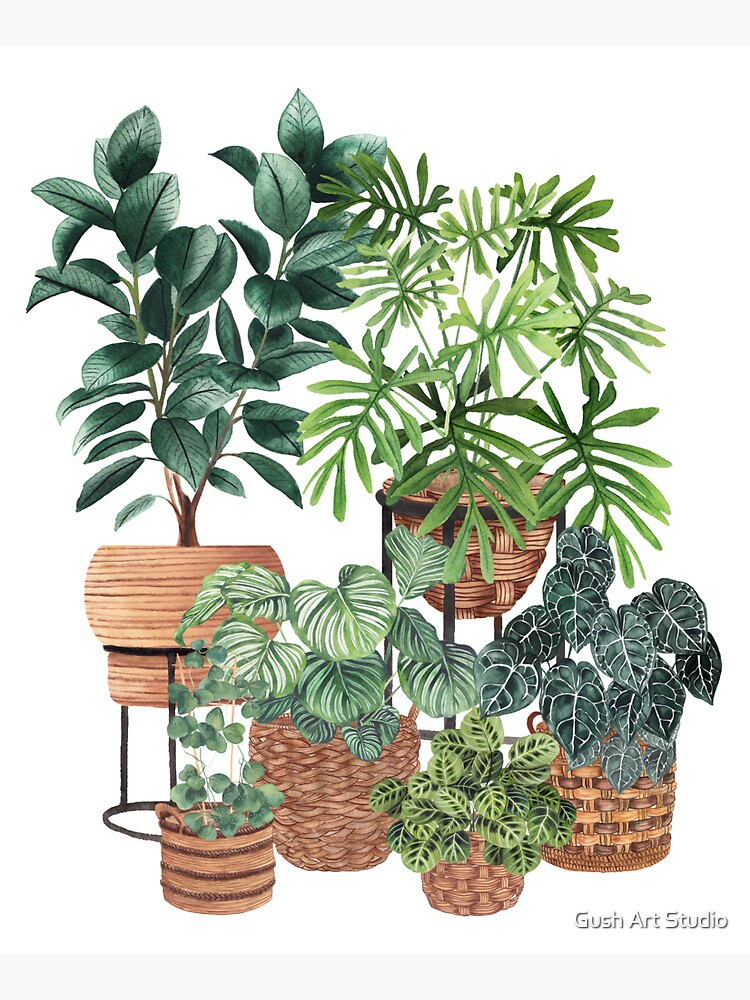 Potted Plants Collection 3 by gusstvaraonica