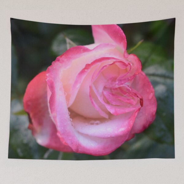 Artikelvorschau, Pink Rose entworfen und verkauft von Linnys-Designs.