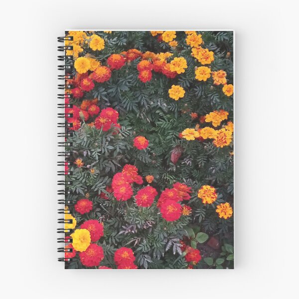 Item preview, Marigolds in red and gold  designed and sold by srabo1973.