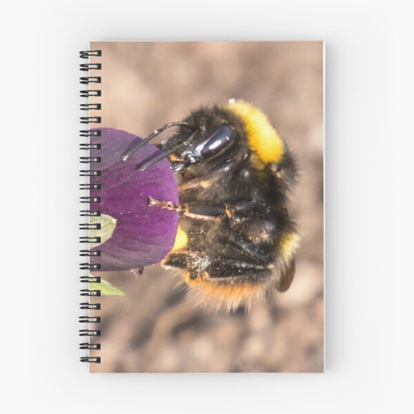 Item preview, bumblebee designed and sold by Katja LebenFreude.