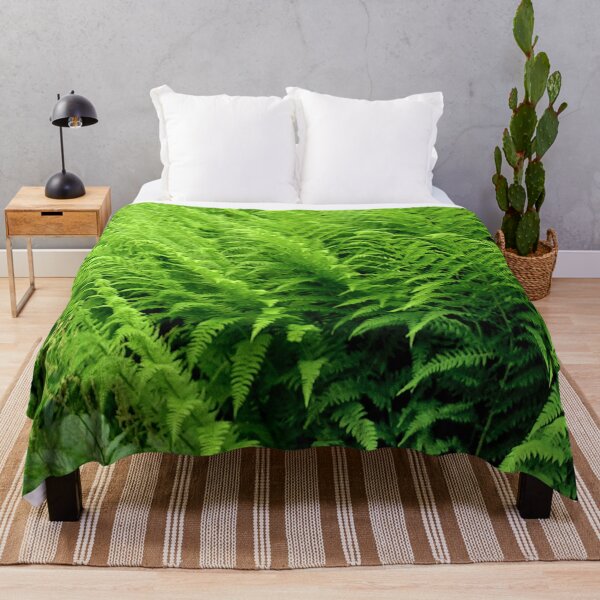 Item preview, Beautiful plants. fern designed and sold by bernd49.