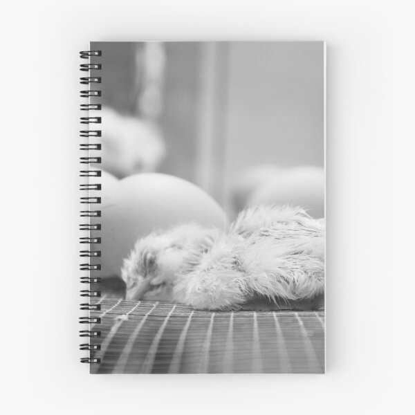Item preview, Freshly Hatched Chick designed and sold by SmirkingDesigns.