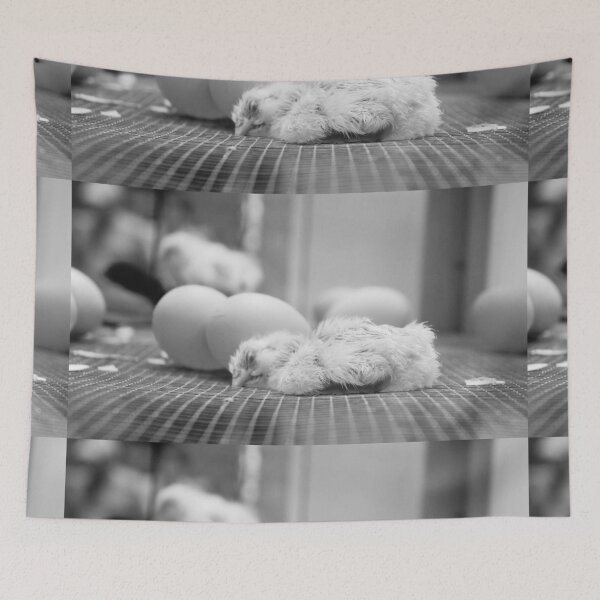 Item preview, Freshly Hatched Chick designed and sold by SmirkingDesigns.