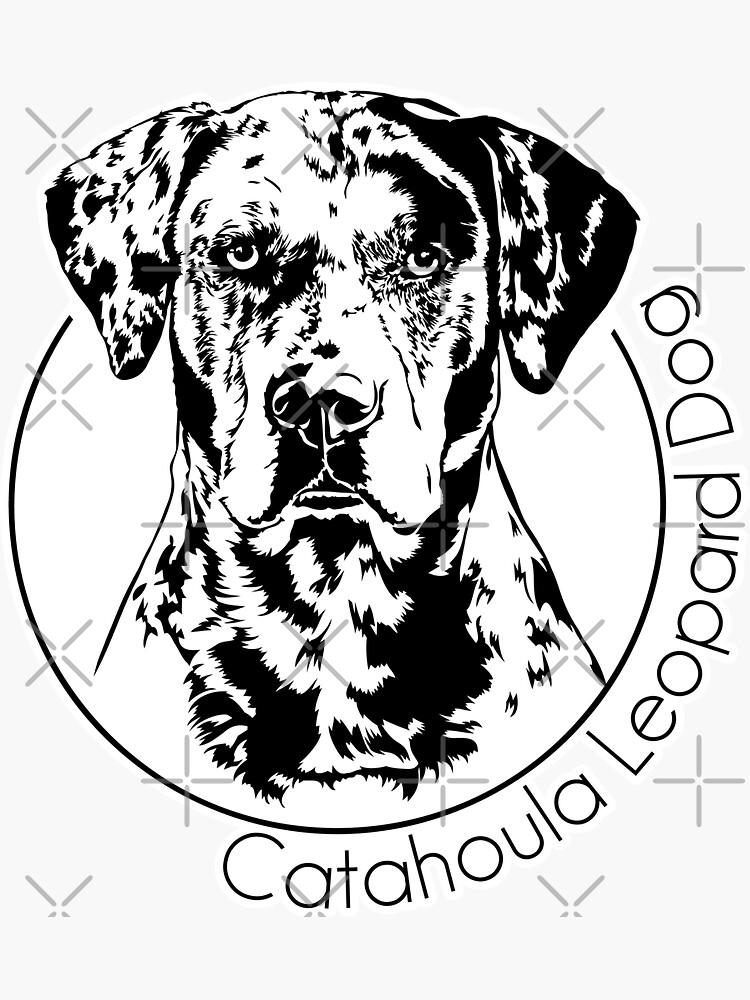 "Louisiana Catahoula Leopard Dog Dog Portrait" Sticker for Sale by