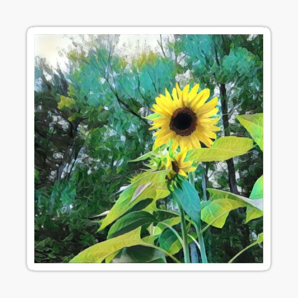 The Sunflower Sticker