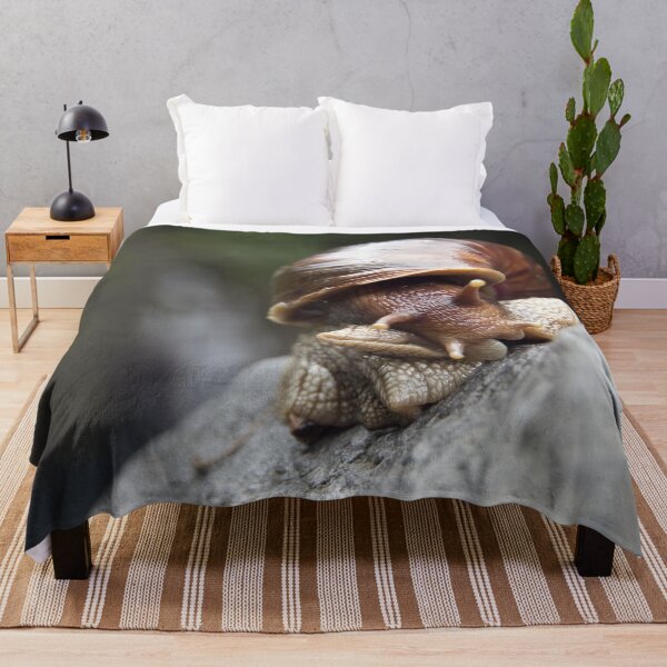 Item preview, Wild large mollusk shell in front of a waterfall designed and sold by EstelleRossetti.