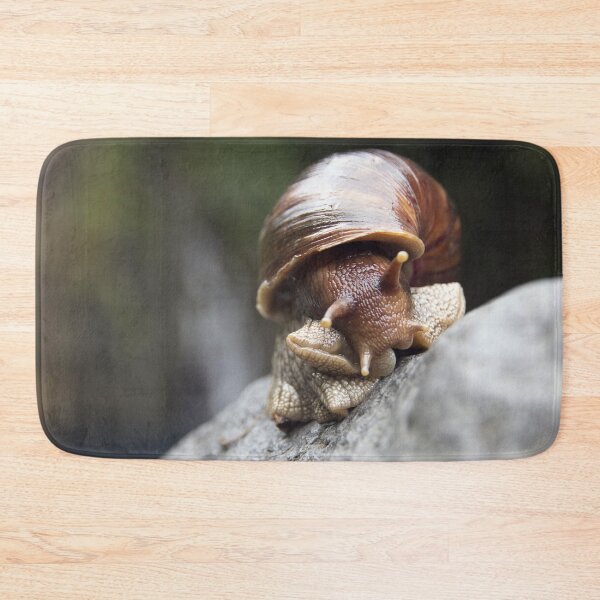 Item preview, Wild large mollusk shell in front of a waterfall designed and sold by EstelleRossetti.