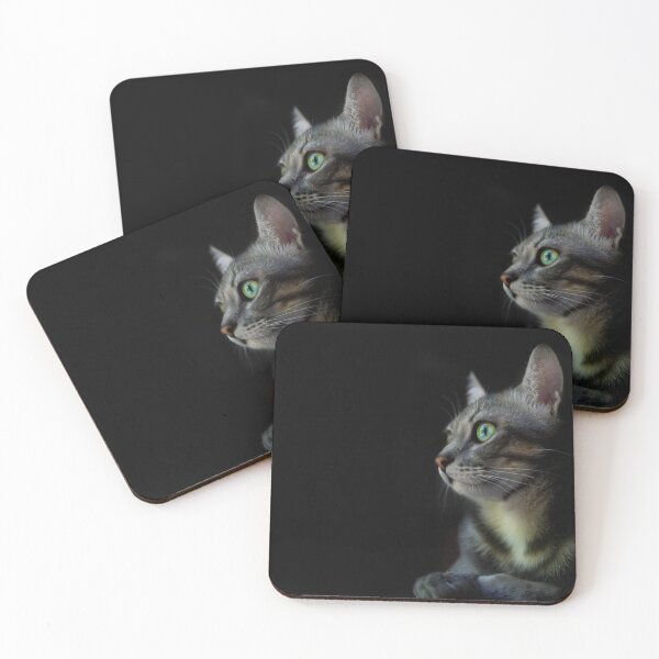 Item preview, Whisky the Cat designed and sold by Cristopher Ponso.