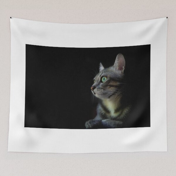 Item preview, Whisky the Cat designed and sold by Cristopher Ponso.