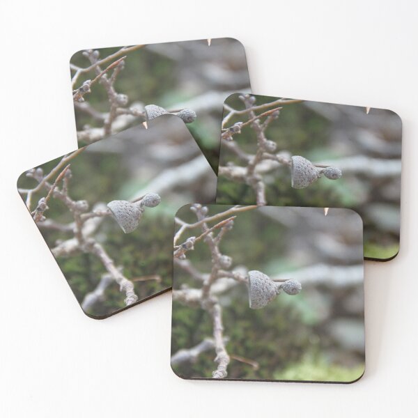 Item preview, Squirrel oak acorn in the green tar moss	 designed and sold by EstelleRossetti.