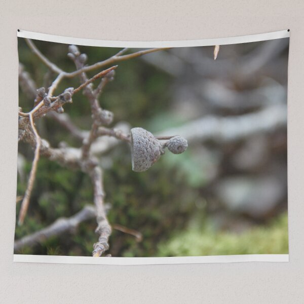 Item preview, Squirrel oak acorn in the green tar moss	 designed and sold by EstelleRossetti.
