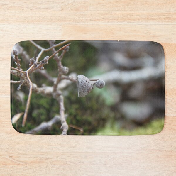 Item preview, Squirrel oak acorn in the green tar moss	 designed and sold by EstelleRossetti.