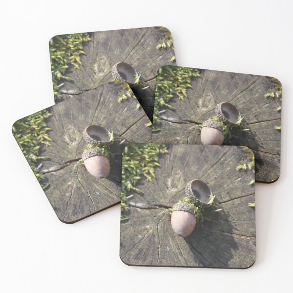 Item preview, Squirrel oak acorn in the green tar moss	 designed and sold by EstelleRossetti.