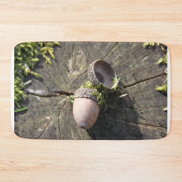 Item preview, Squirrel oak acorn in the green tar moss	 designed and sold by EstelleRossetti.