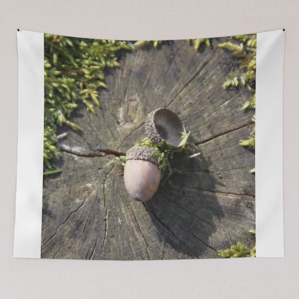 Item preview, Squirrel oak acorn in the green tar moss	 designed and sold by EstelleRossetti.
