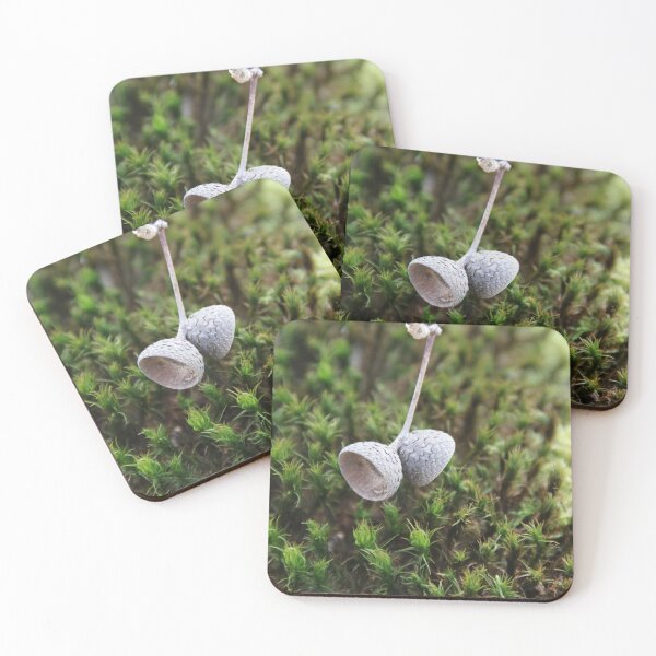 Item preview, Squirrel oak acorn in the green tar moss	 designed and sold by EstelleRossetti.
