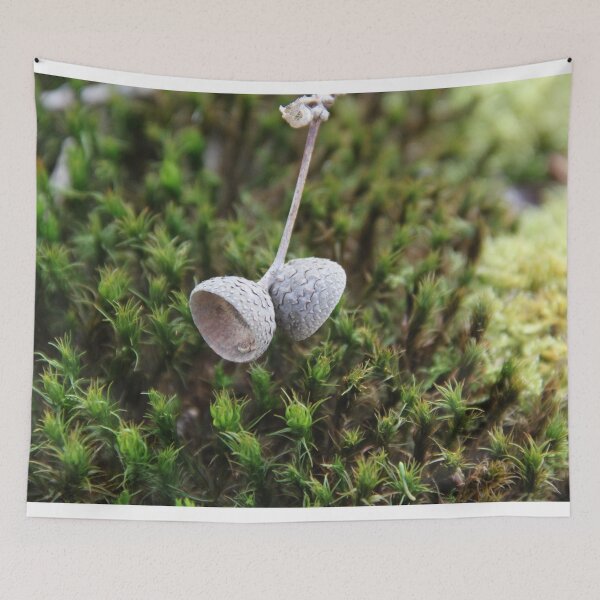 Item preview, Squirrel oak acorn in the green tar moss	 designed and sold by EstelleRossetti.