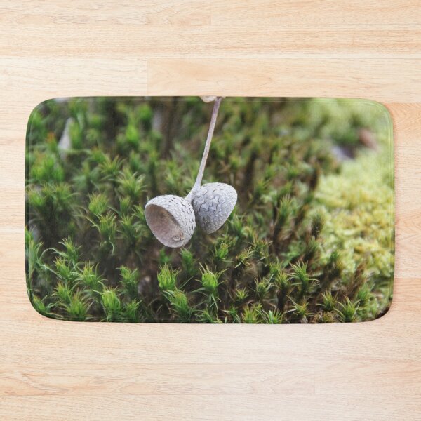 Item preview, Squirrel oak acorn in the green tar moss	 designed and sold by EstelleRossetti.