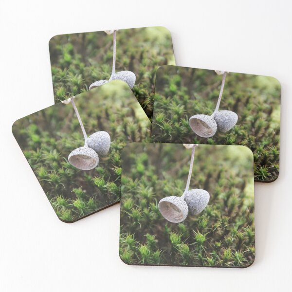 Item preview, Squirrel oak acorn in the green tar moss	 designed and sold by EstelleRossetti.