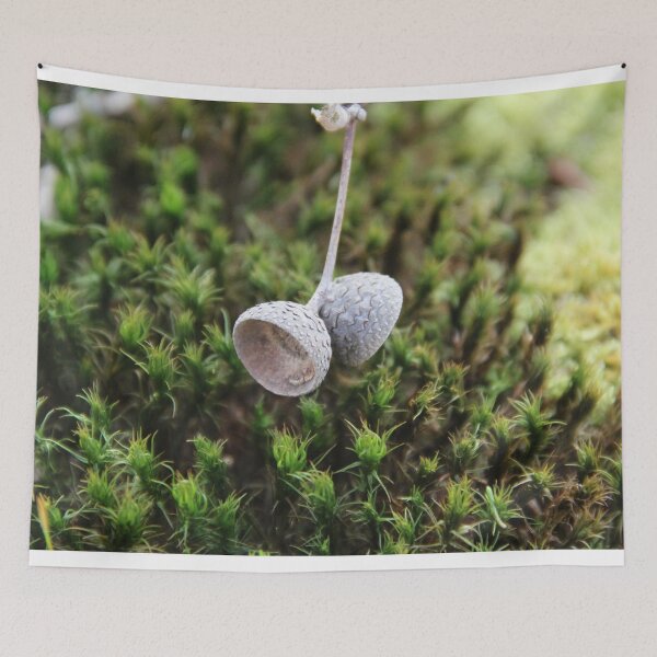 Item preview, Squirrel oak acorn in the green tar moss	 designed and sold by EstelleRossetti.