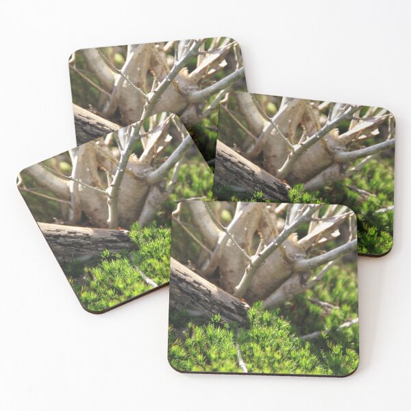 Item preview, Squirrel oak acorn in the green tar moss	 designed and sold by EstelleRossetti.