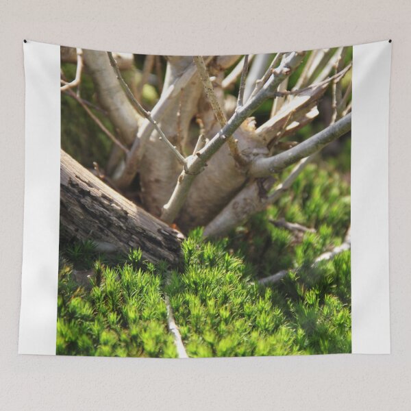Item preview, Squirrel oak acorn in the green tar moss	 designed and sold by EstelleRossetti.