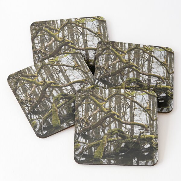 Item preview, Forest swamp during springtime natural reserve	 designed and sold by EstelleRossetti.
