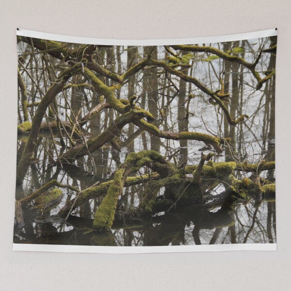 Item preview, Forest swamp during springtime natural reserve	 designed and sold by EstelleRossetti.