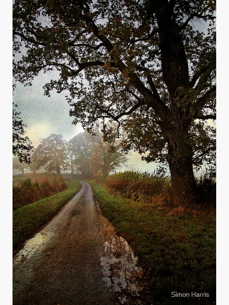 Thumbnail 3 of 3, Poster, Country Lane designed and sold by Simons41.