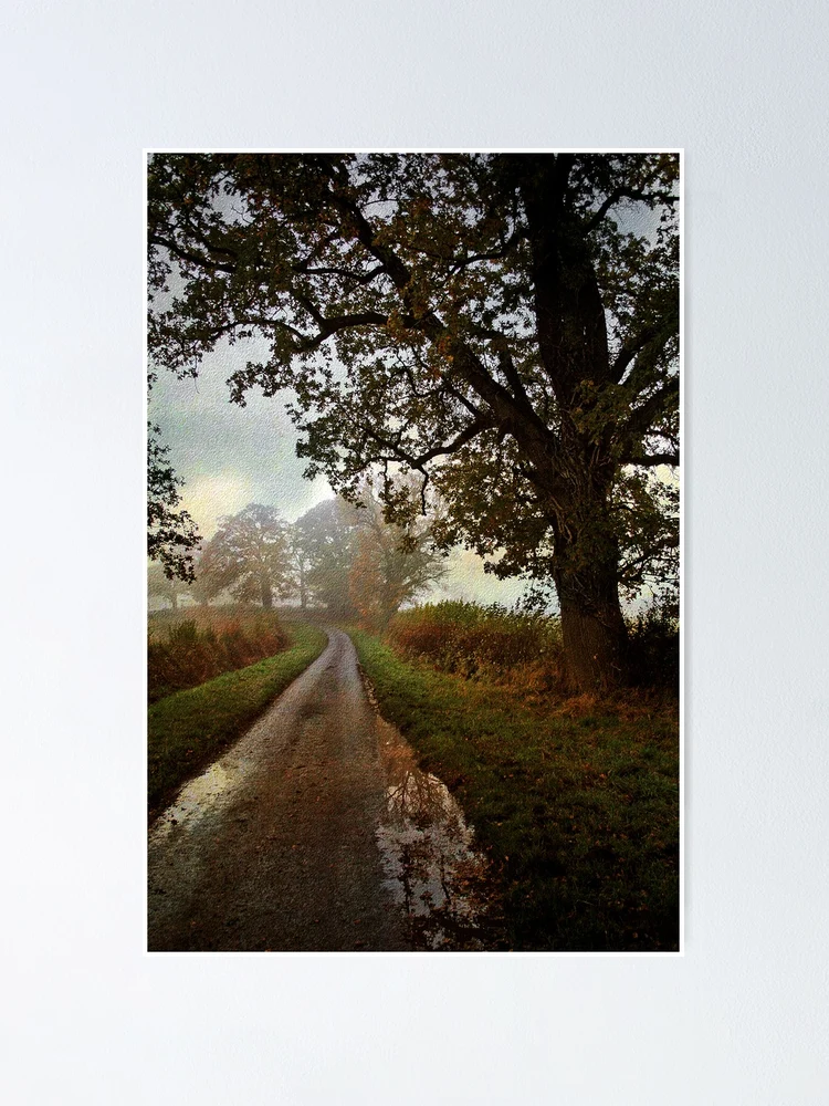 Thumbnail 1 of 3, Poster, Country Lane designed and sold by Simons41.