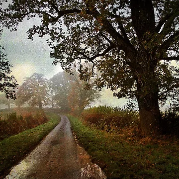 Artwork thumbnail, Country Lane by Simons41