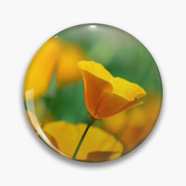 Item preview, Orange Canadian Garden Poppies. designed and sold by Alexander Sorokopud.