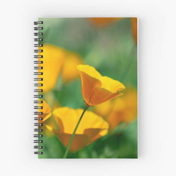 Item preview, Orange Canadian Garden Poppies. designed and sold by Alexander Sorokopud.