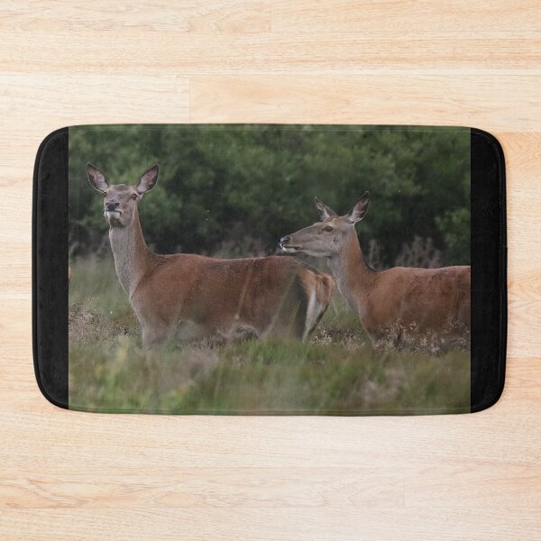 Item preview, pair of deers designed and sold by tammy mellor.